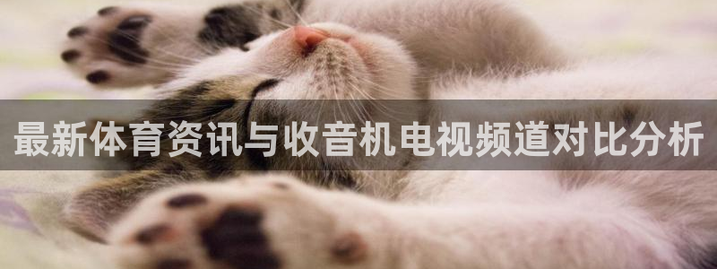 最新体育资讯与收音机电视频道对比分析